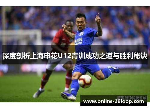 深度剖析上海申花U12青训成功之道与胜利秘诀