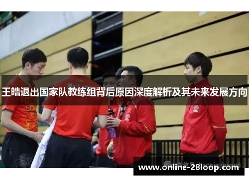 王皓退出国家队教练组背后原因深度解析及其未来发展方向