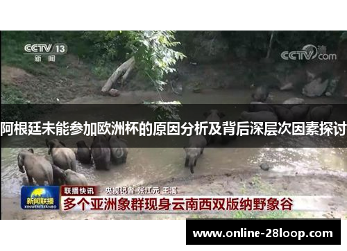 阿根廷未能参加欧洲杯的原因分析及背后深层次因素探讨